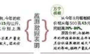 前三季度重要商品價(jià)格顯示 萬寧檳榔昌江芒果價(jià)格上漲